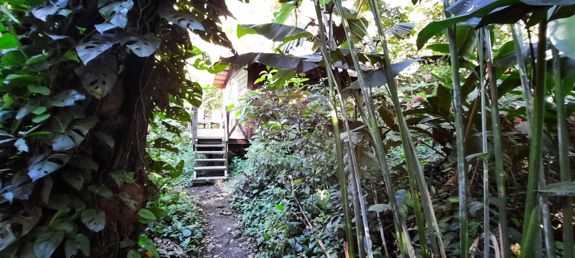 Mombacho Lodge Granada Eksteriør billede