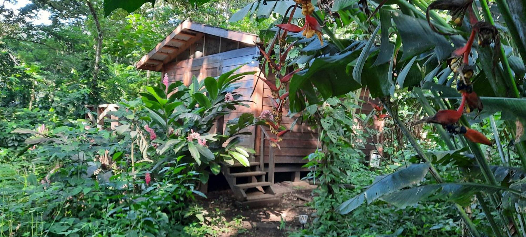 Mombacho Lodge Granada Eksteriør billede