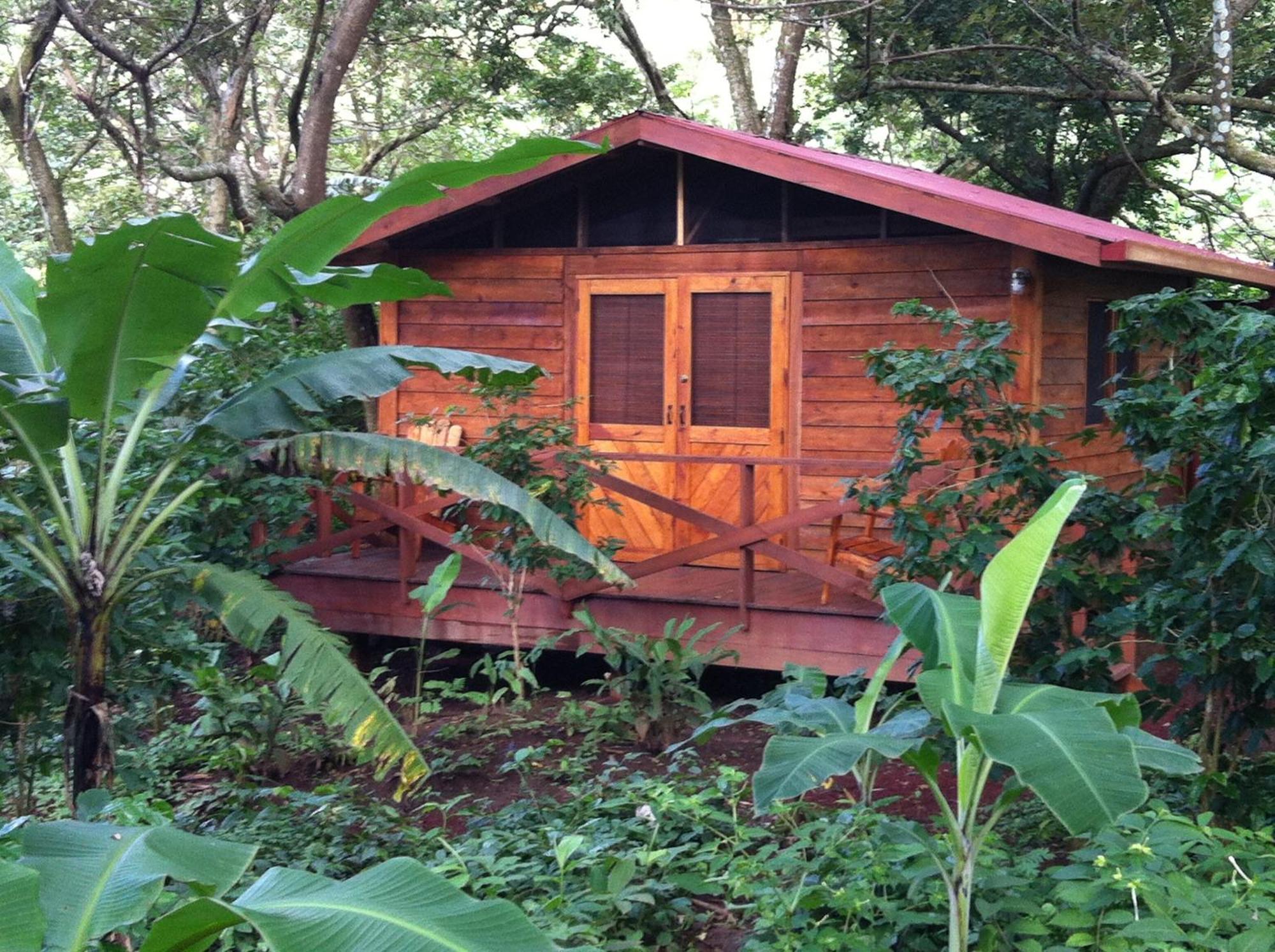 Mombacho Lodge Granada Værelse billede
