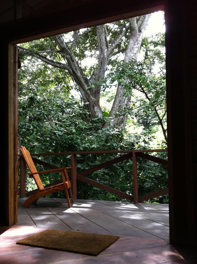 Mombacho Lodge Granada Værelse billede